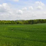 La Grange Des Marettes