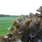 La Grange Des Marettes Cléres