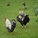 La Grange Des Marettes