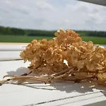 La Grange Des Marettes Frühstückspension