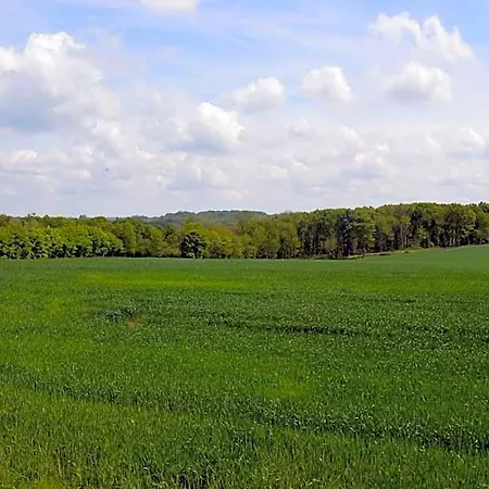 La Grange Des Marettes Oda ve Kahvaltı 4*