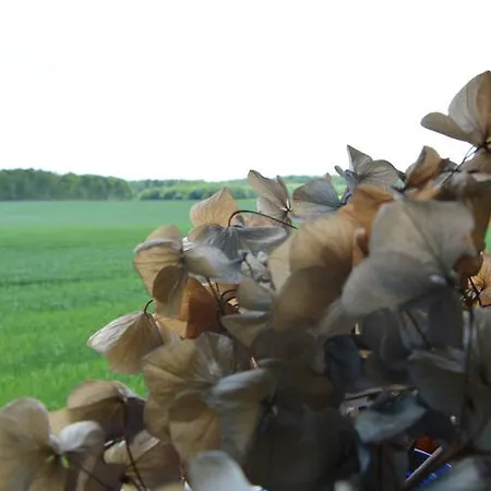 La Grange Des Marettes Cléres
