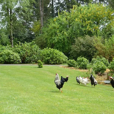 La Grange Des Marettes Cléres