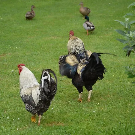 La Grange Des Marettes